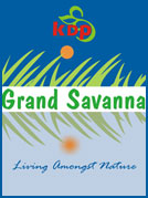 Grand Sawanna